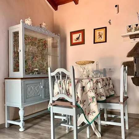 Casa Abuelitilla テロル
